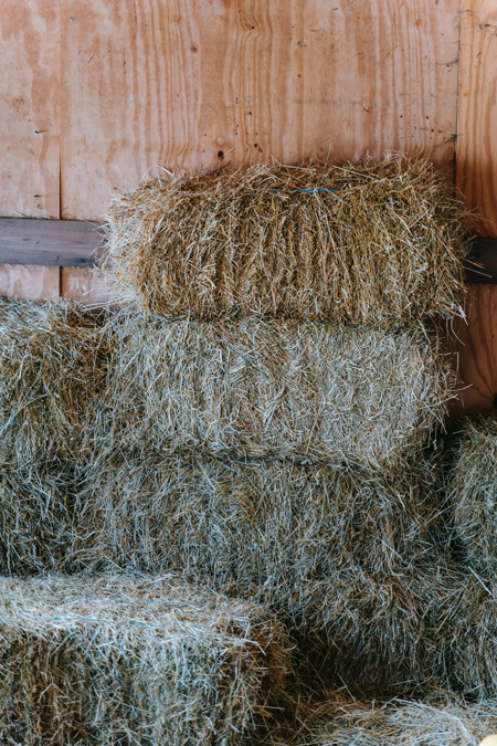 Straw Bale